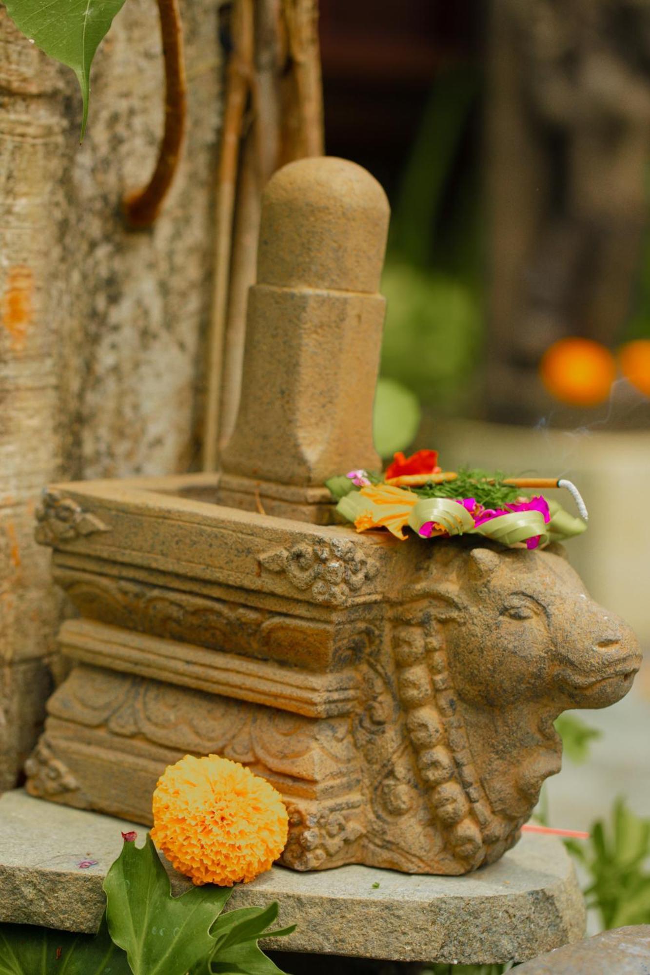 Adi Laxmi Villa Ubud Bagian luar foto